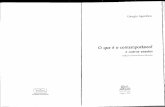 AGAMBEN, Giorgio. O Que é o Contemporâneo e outros ensaios.pdf