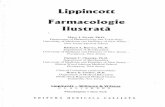 28272568 FarmaFarmacologie-Ilustrata-Lippincott-Ed-II.pdfcologie Ilustrata Lippincott Ed II