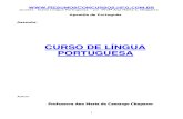 Ou-Lingua Portuguesa Chaparro1111111111 (1)