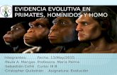 Evidencia Evolutiva en Primates, Homínidos y Homo (1)