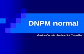105923_Aula 2 - DNPM Normal (2)