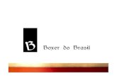 Boxer Do Brasil