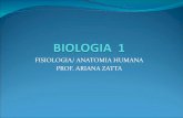 Fisiologia Anatomia Humana - Sistema Digestório Parte 01 PDF