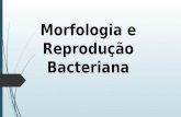 Morfologia bacteriana