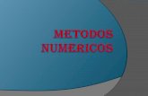 metodos numericos