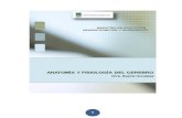 C-ANATOMIA Y FISIOLOGIA 14-2.pdf