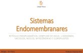 5.Sistemas Endomembranares