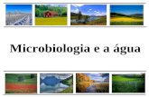 Aula 10 - Microbiologia Da Agua 2011.1