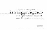 SEYFERTH, Giralda. Colonização, Imigração e a Questão Racial No Brasil.