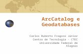 Aula 02 - ArcCatolog e Geodatabases