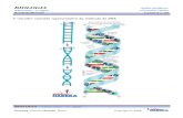 Ácidos Nucleico e Respiração
