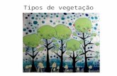 rvores brasileiras