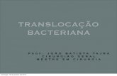 AULA Translocação Bacteriana