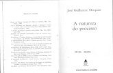 José Guilherme Merquior - A Natureza Do Processo