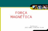 Forca Magnetica