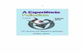 A Experiência Palladium.pdf