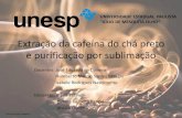 9 - Extração e Purificação Da Cafeína – BAC 2013