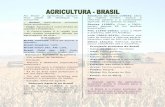 Agricultura Brasil
