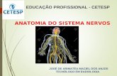 Aula Sistema Nervoso AULA 10.ppt