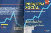 Pesquisa Social - Maria Cecília de Souza Minayo