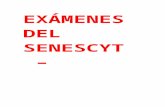 EXÁMENES DEL SENESCYT.docx