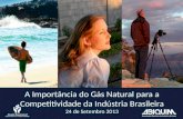 ABIQUIM- Seminario Gas Natural Brasilia Final -24 09 2013