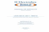 Modulo2-Manual Servicos Lava-Seca LSE11 Rev0