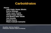 Seminario carboidratos