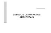 Aula 10  Estudo de Impacto Ambiental.pdf