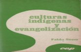 Suess_Culturas Indigenas y Evangelizacion.pdf