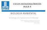 Ciclos Biogeoquímicos Aula4 2014