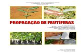 Propagação de frutiferas (1).pdf