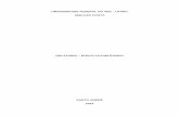 relatório - efeito fotoeletrico - amilcar.pdf