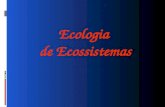 ECOLOGIA DE ECOSSISTEMAS.ppt
