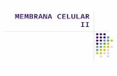 Aula 4.1 - Membrana Celular.ppt