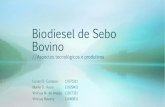 Biodisesel de Sebo Bovino.pdf