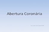 Abertura coronária - Endodontia
