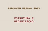 4- Estrutura e Organização Projovem Urbano 2012[2]