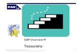 SAP Overview FI Tesouraria