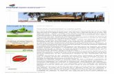 ASPIPP - Associação Do Sudoeste Paulista de Irrigantes e Plantio Na Palha