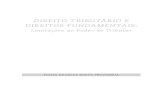 Gandra, Ives; Castilho, Ricardo (orgs.) - Direito Tributário e Direitos Fundamentais (2012).pdf