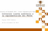Criterios auditoría PESSO y evaluación CD 2013 - Implementación PESSO (noviembre 2013).pptx