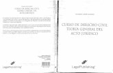 Teoria General del Acto Jurídico_1°Ed_-_Eduardo Court Murasso_2009.pdf