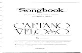 Songbook - Caetano Veloso Vol._2 (Chediak)