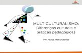 Slides Multiculturalismo-16!03!2015 Ppt