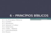 1 - Pricípios Bíblicos 8h Aula Completo