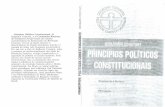 Princípios Políticos Constitucionais