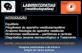 Aula Labirintopatias 2010 PDF