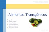 Alimentos Transgénicos - Grupo#2