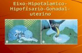 995_Aula Do Eixo Hipotalamico Hipofisario Gonadal Uterino (1)